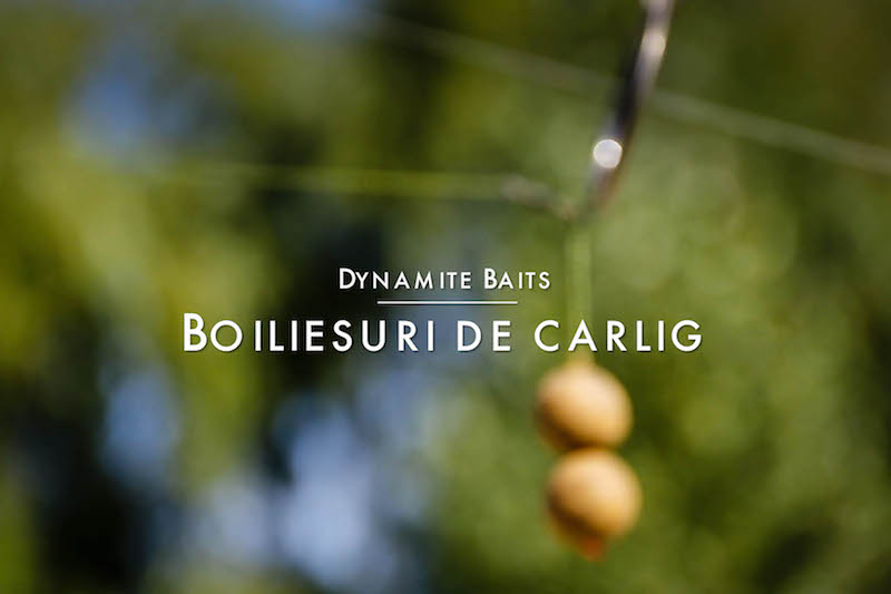 Dynamite Baits - Boiliesuri de carlig.jpg