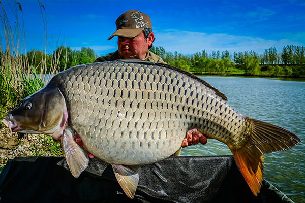 Robert Rozsdas_Varlaam_19,9kg carponline.jpg