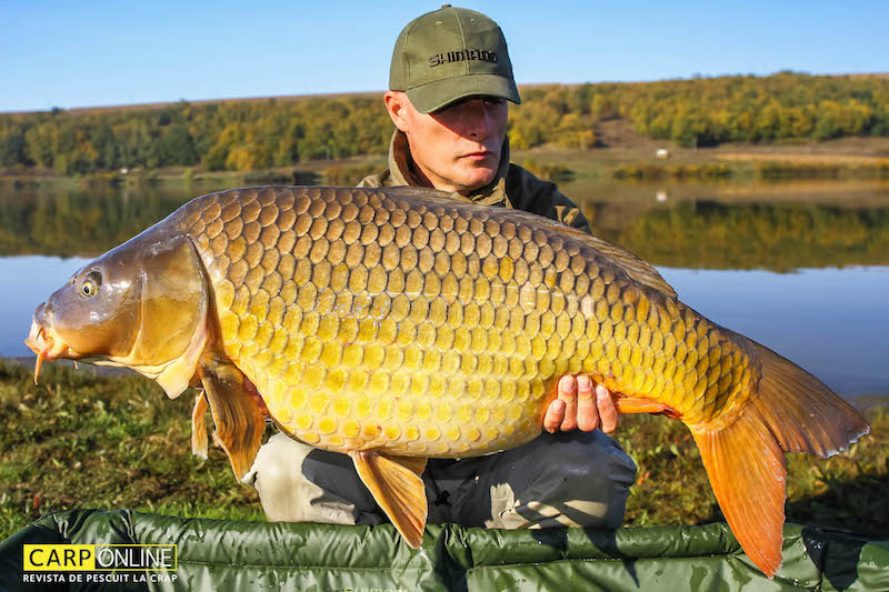 Vlad Pavlovici_Horgesti_octombrie 2017.jpg