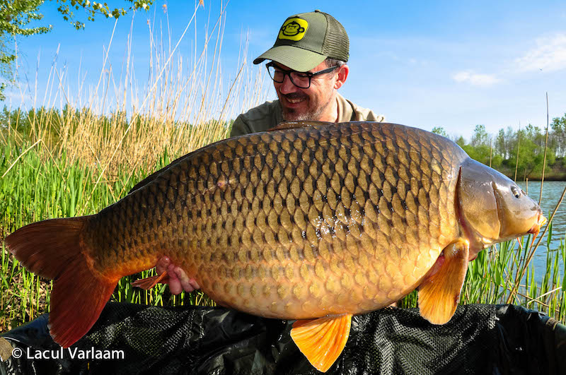 Pierre Estrade - 26,4kg, stand A4.jpg