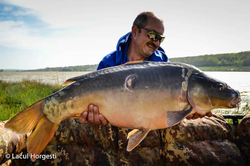 Lucian Toderica - Horgesti - 15,7kg.jpg