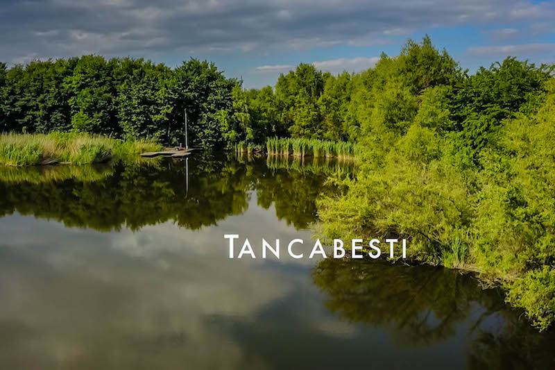 Portretul unui lac - Tancabesti.jpg