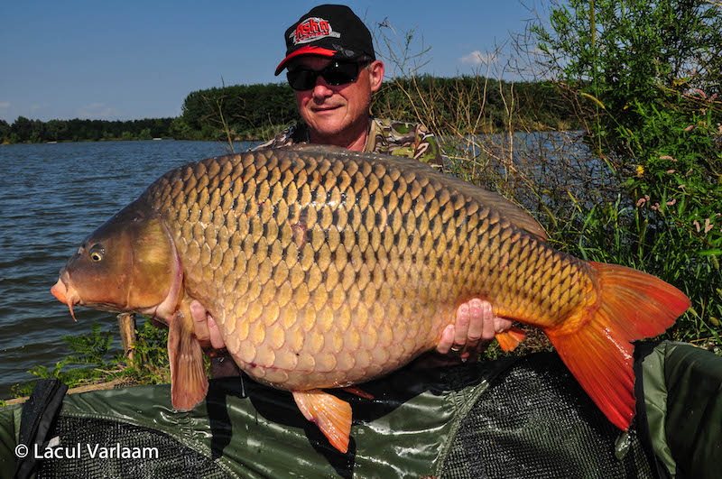 Vali Pavaloaia - 19,9kg, stand B13.jpg