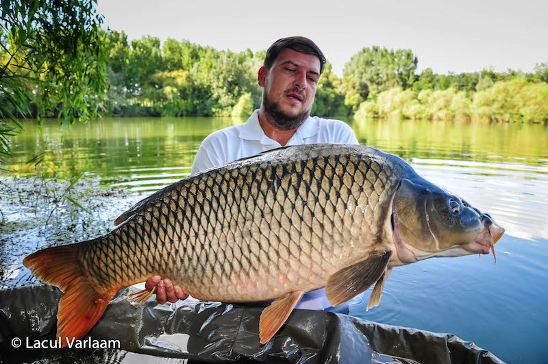 Bogdan Buzatu - 19,7kg, stand A2.jpg