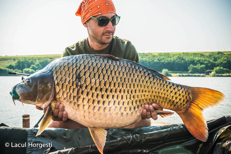 Catalin Chelaru - 15,6kg.jpg