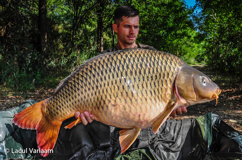 Razvan Lixandru - 20,6kg, stand B8.jpg