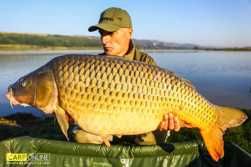 Vlad Pavlovici _ Horgesti _19,2kg.jpg