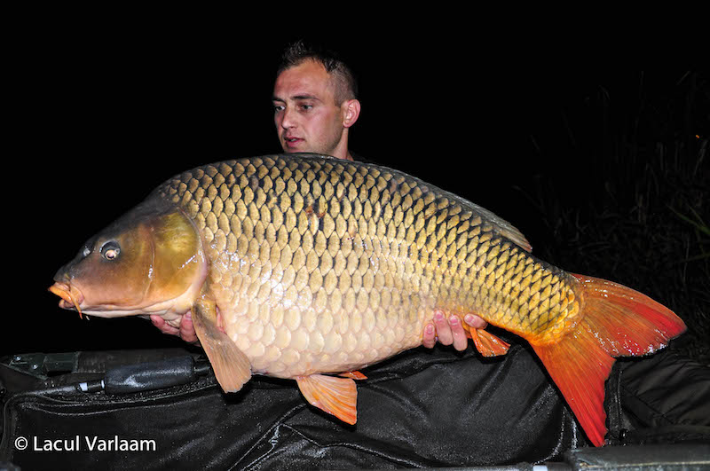 Daniel Frumosu - 20,1kg, stand B15.jpg