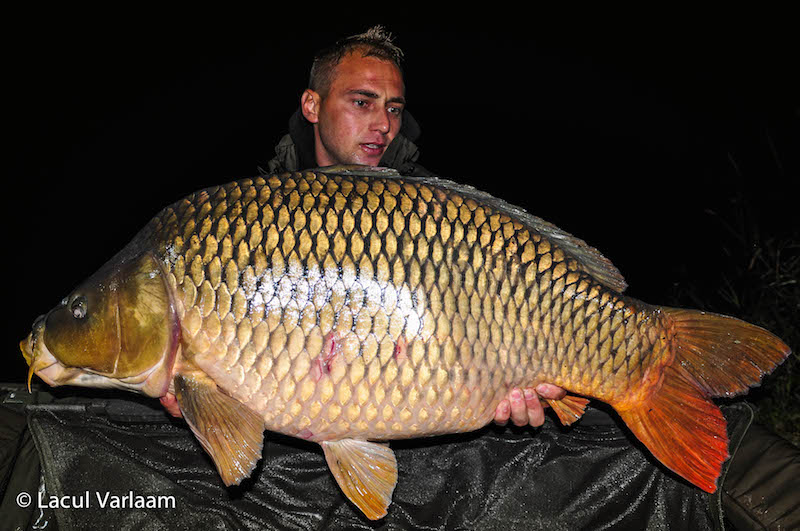 Daniel Frumosu - 22kg, stand B15.jpg