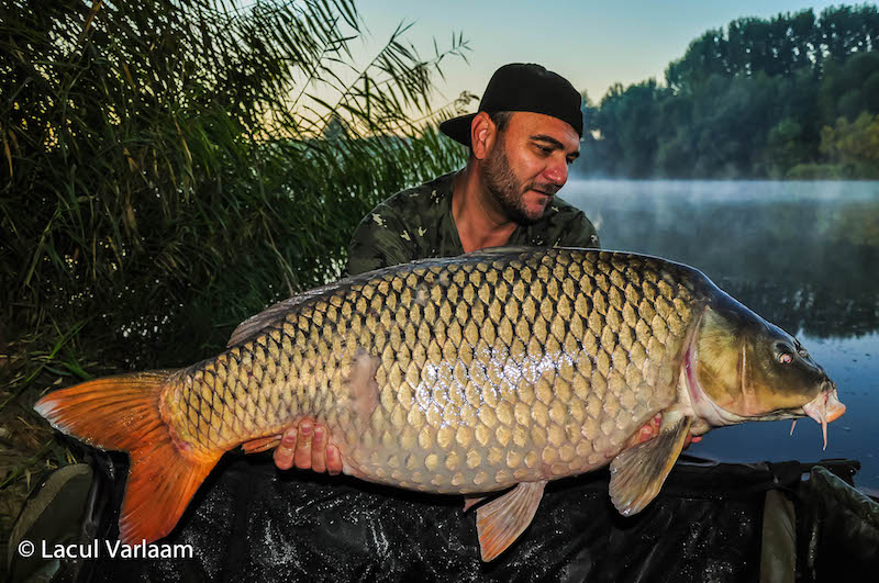 Cosmin Dumitru - 20,1kg, stand A8.jpg