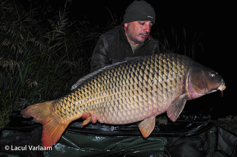 Vlad Costache - 21kg, stand B16.jpg