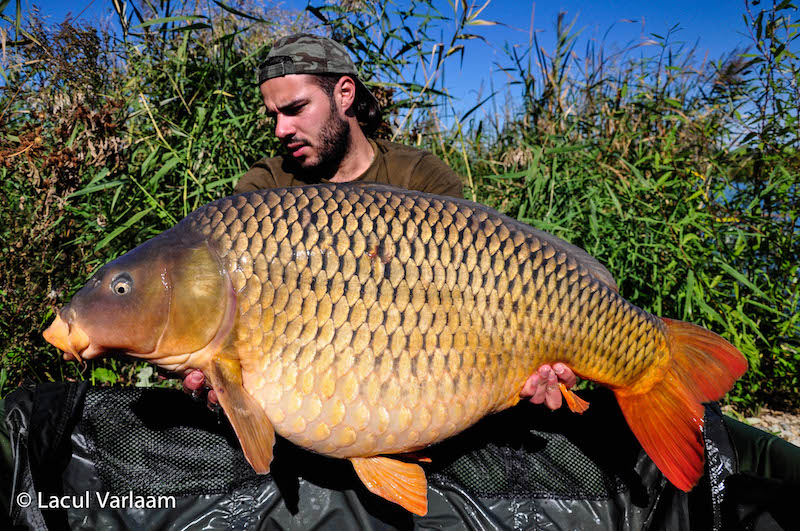 Abdo Taljbene 21,2kg, stand B14.jpg