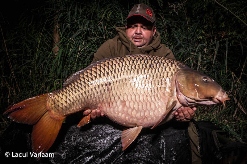 Viorel Mihaescu 20,4kg, stand B8.jpg