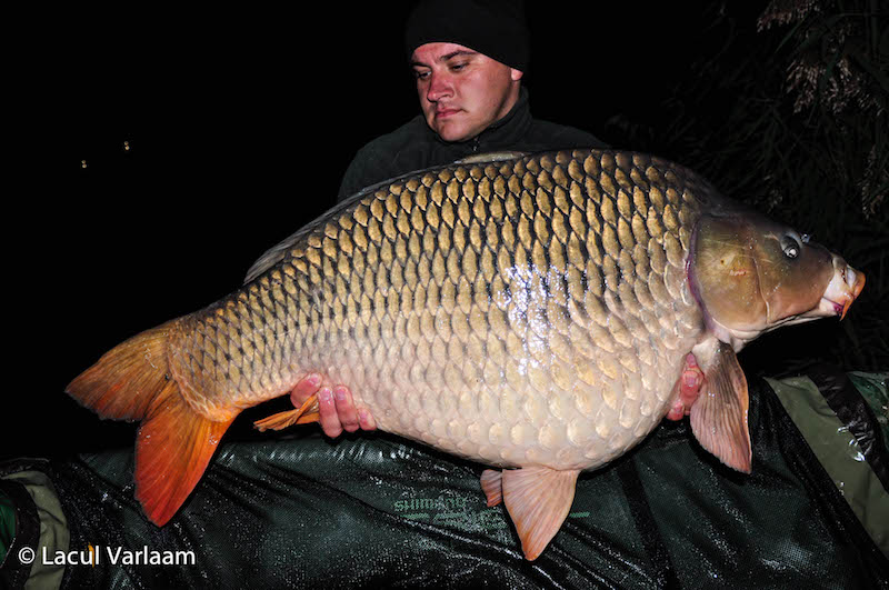 Florin Potcoveanu - 20,1kg, stand B7.jpg