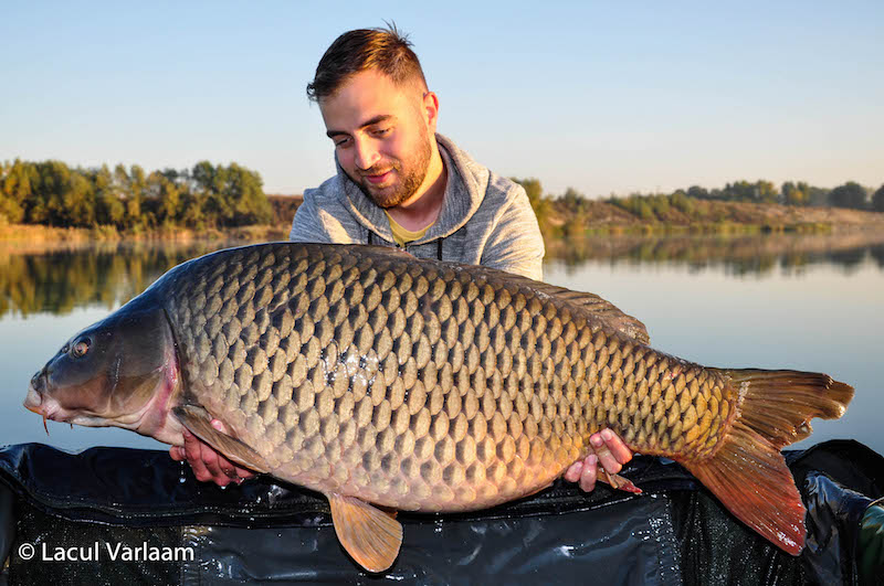 Alexandru Oiegas - 22,4kg, stand B13.jpg