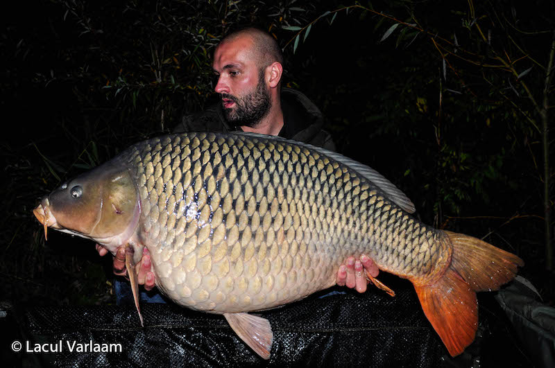 Adrian Baciu - 21,7kg, stand B14.jpg