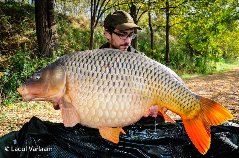 Georgi Georgiev - 22,1kg.jpg