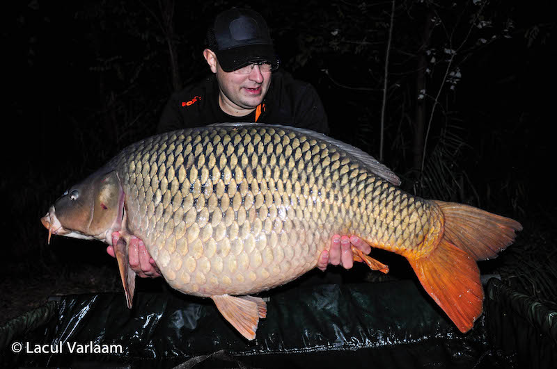 Alexandru Vaetis - 21,8kg, stand B6.jpg