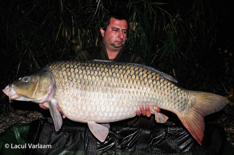 Plamen Cherniradev - 21kg, stand A9.jpg