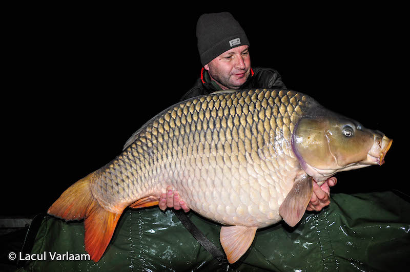 Cristian Constantin - 21kg, stand B13.jpg