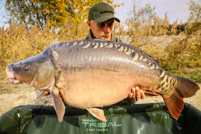 Vlad Pavlovici - 20kg, stand B13.jpg