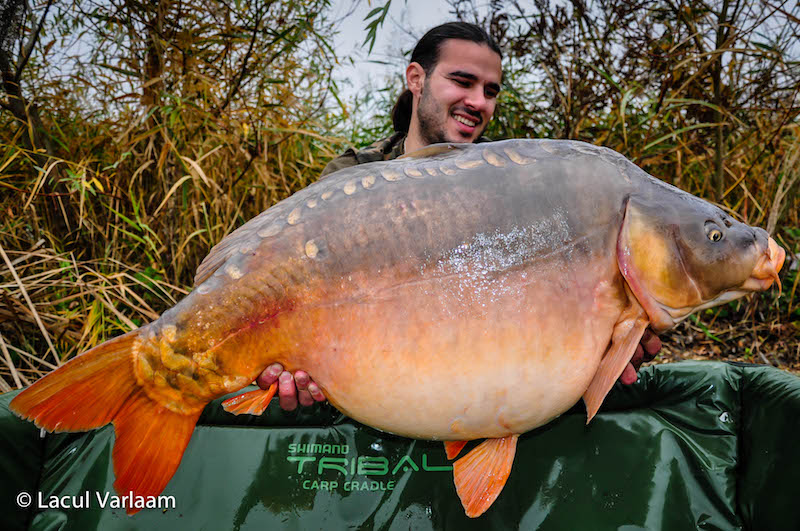 Abdo Taljbene - 22,8kg, stand B14.jpg