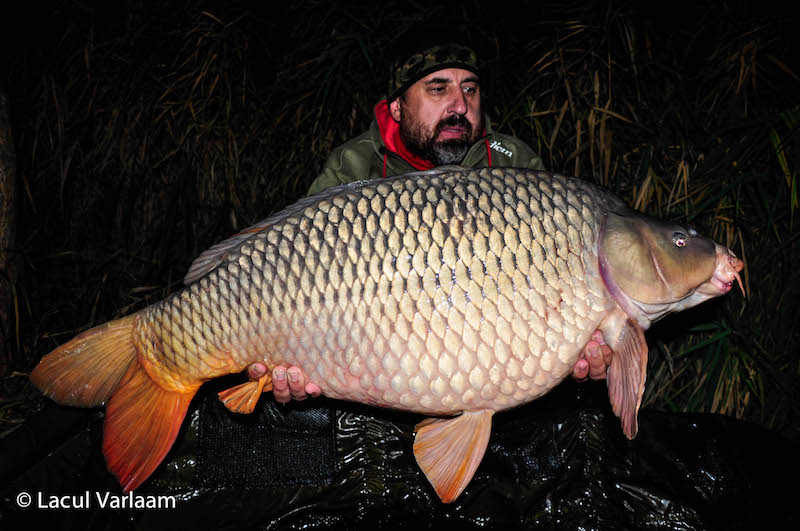 Alexandru Lulea - 20,1kg, stand B4.jpg