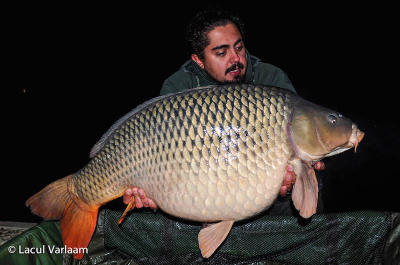 Bogdan Alexandru - 22,5kg, stand B13.jpg