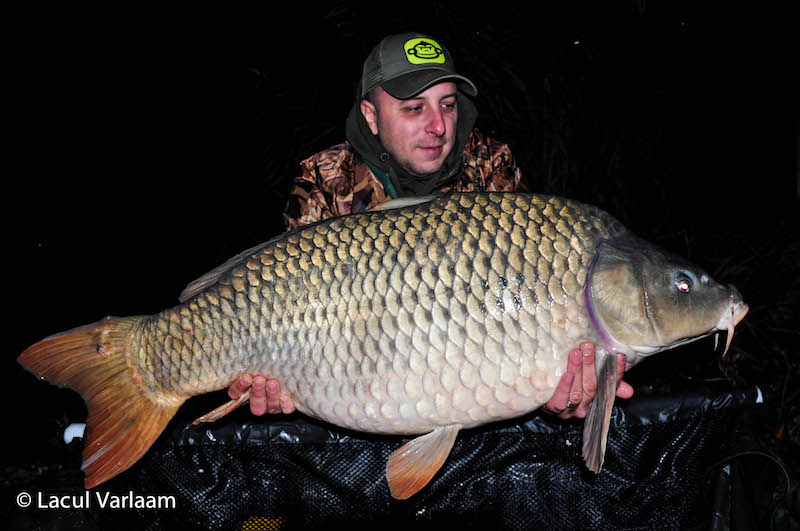 Alexandru Dumitru - 20kg, stand A4.jpg