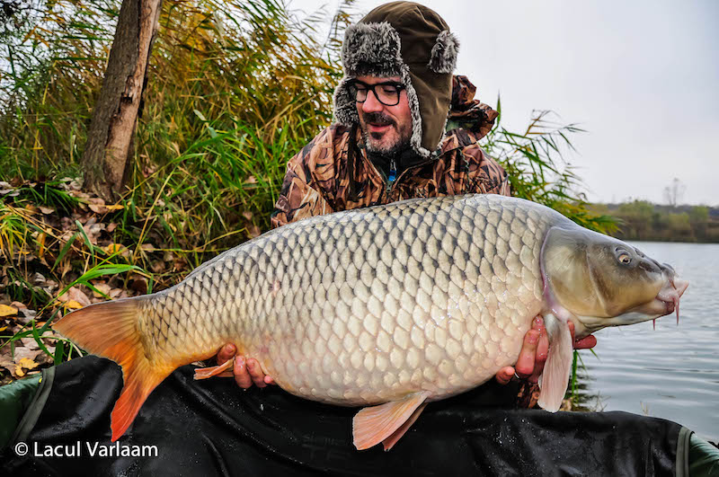 Pierre Estrade - 19kg, stand A7.jpg