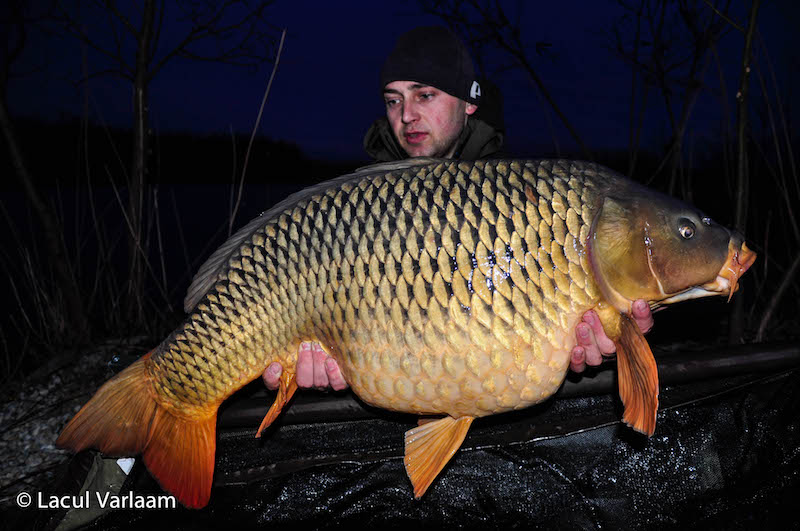 Daniel Frumosu - 18kg, stand B14.jpg