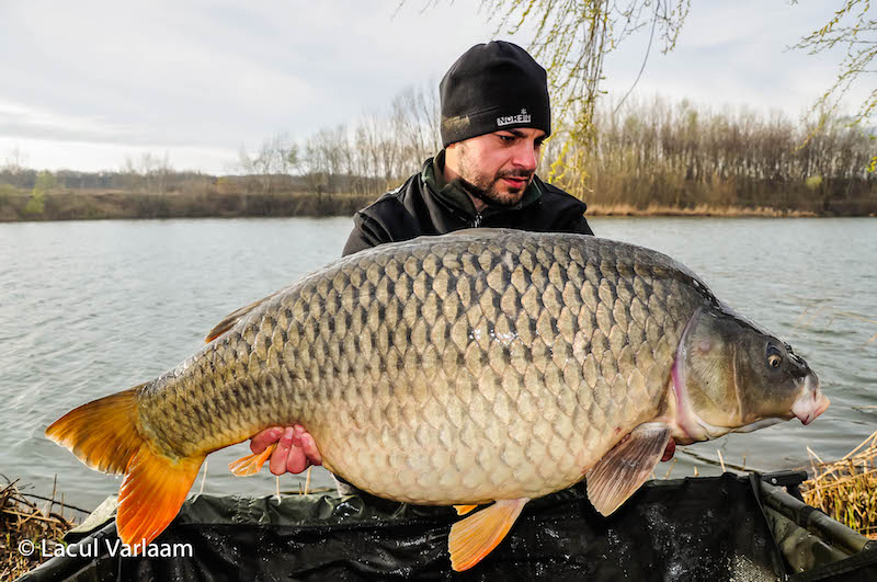 Marius Anghelache - 19kg, stand A7.jpg