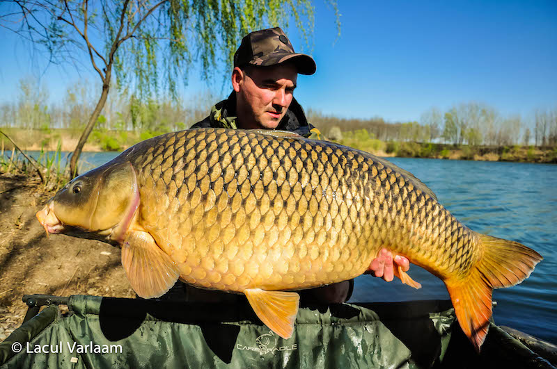 Gabi Paun - 21,5kg, stand A6.jpg