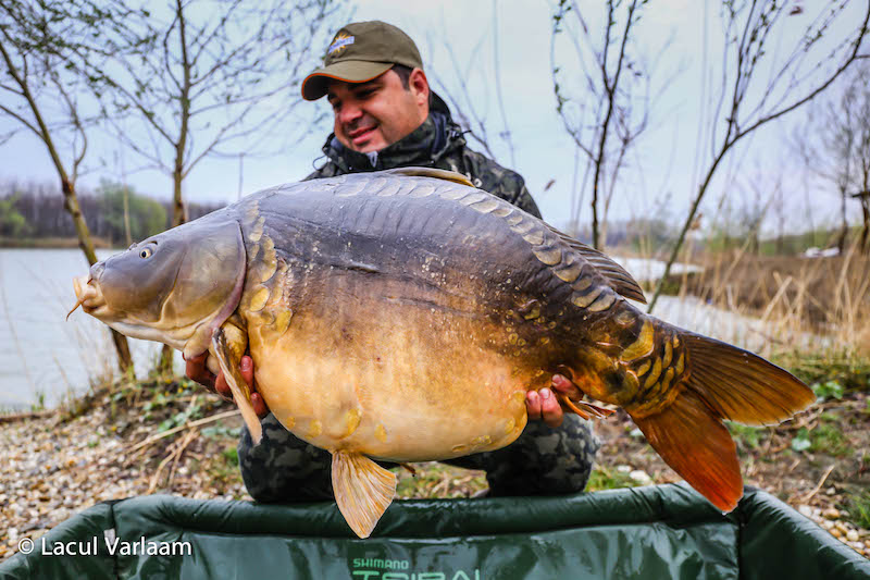 Mihai Perianu - 20,5kg, stand B13.jpg-2.jpg