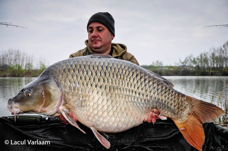 Mircea Coman - 26,4kg, stand A6.jpg