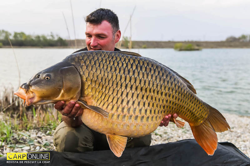 Rob Hughes - 19,7kg, stand B14.jpg