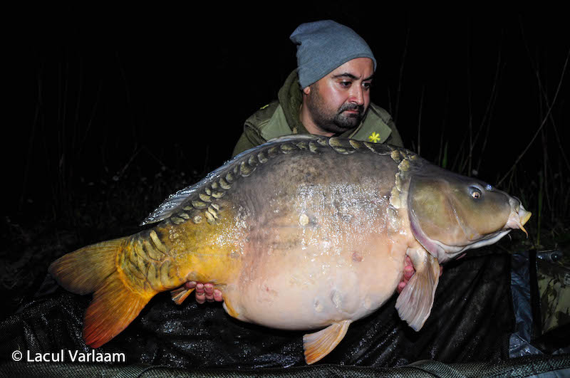 Marius Iosif - 19,8kg, stand B14.jpg