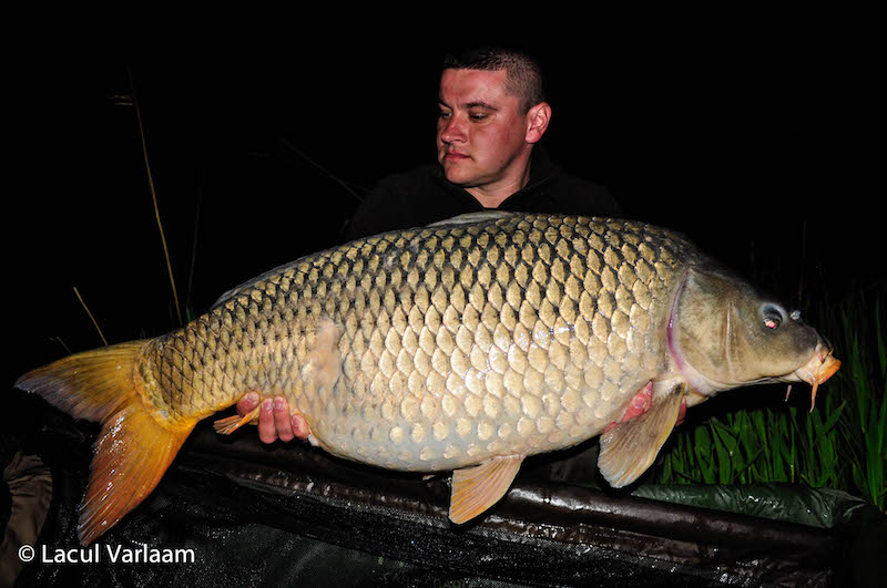 Florin Potcoveanu - 20,8kg, stand A9.jpg