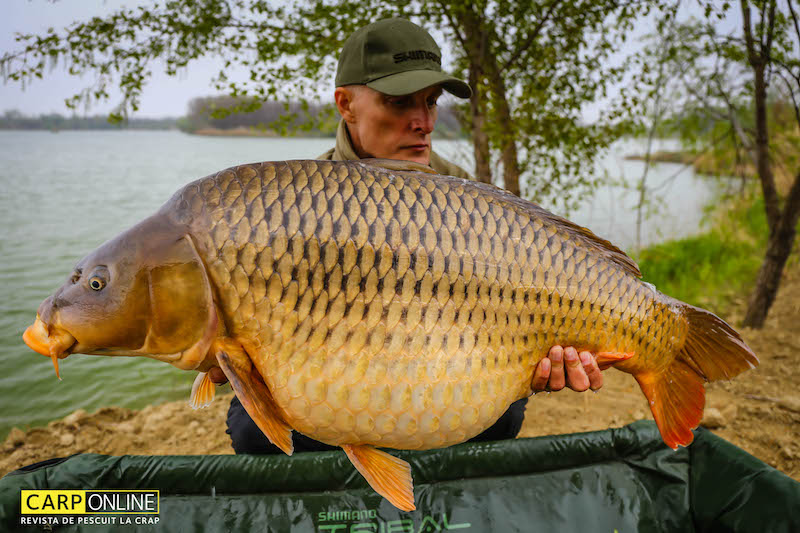 Vlad Pavlovici - 20,2kg, stand B13.jpg