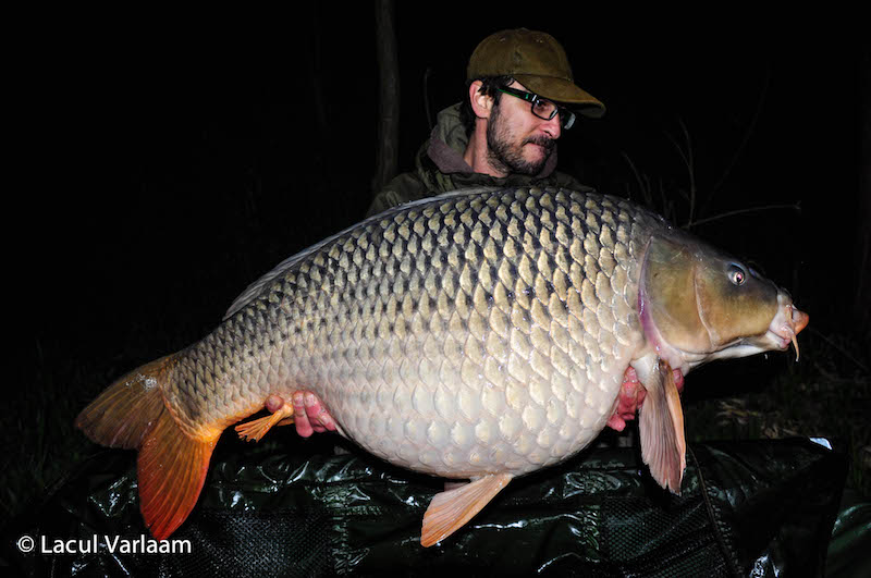 Georgi Giorgiev - 20,3kg, stand B7.jpg