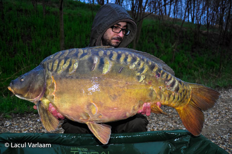 Georgi Giorgiev - 20,4kg, stand B7.jpg