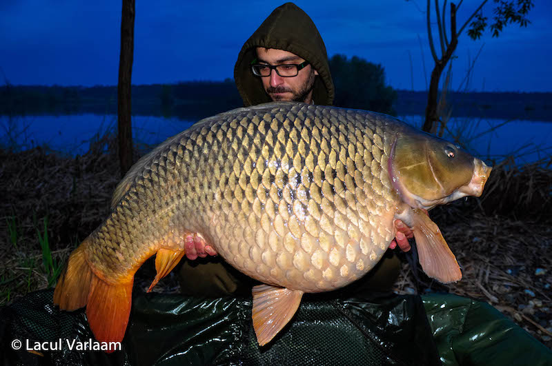 Georgi Giorgiev - 21,4kg, stand B7.jpg