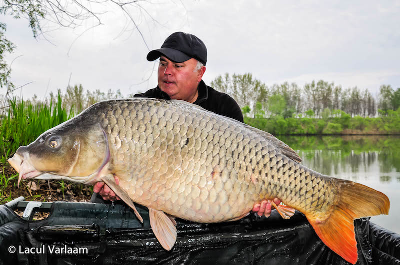 Radu Suhan - 25,5kg, stand A6.jpg