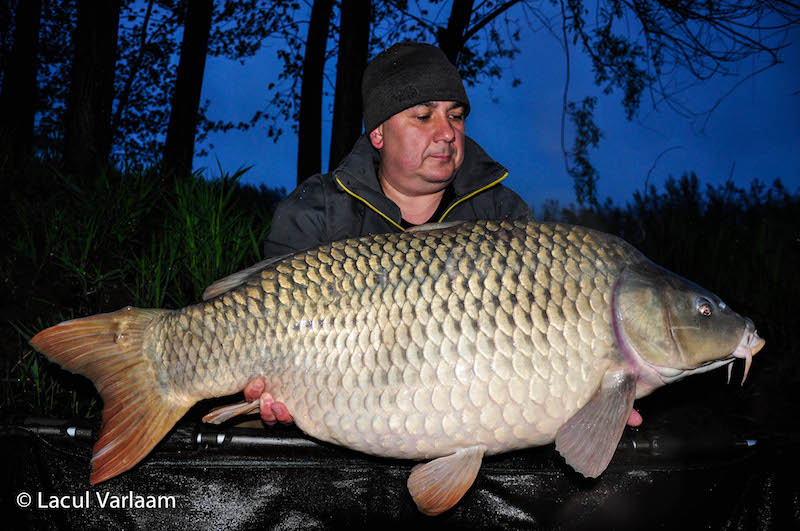 Mircea Coman - 20,4kg, stand A4.jpg