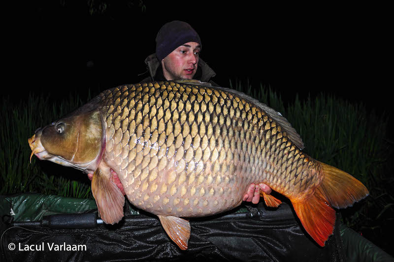 Daniel Frumosu - 25,7kg, stand B4.jpg