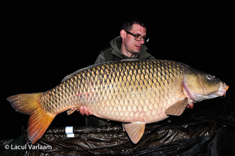 Mircea Faur - 21,5kg, stand A2.jpg