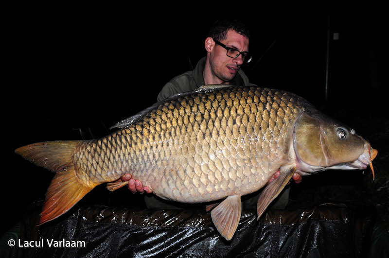 Mircea Faur - 21,6kg, stand A2.jpg