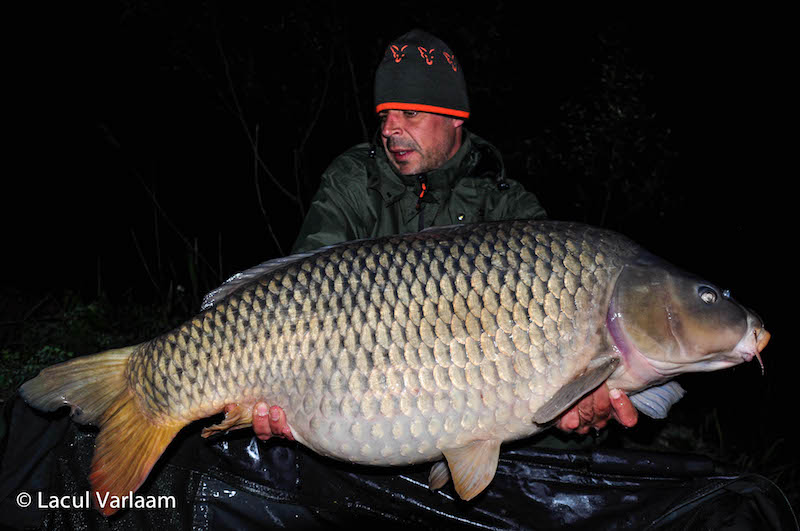 Cosmin Anghelescu - 23,5kg, stand B15.jpg