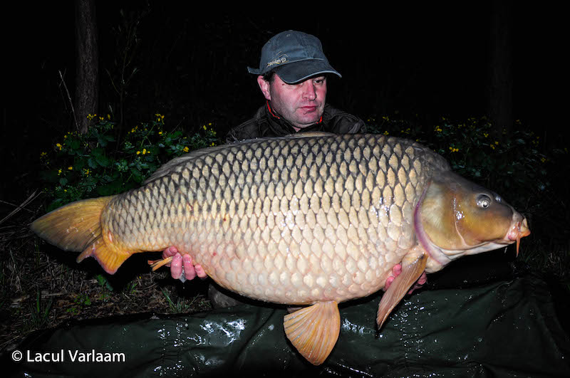 Cristian Constantin - 20,3kg, stand B8.jpg