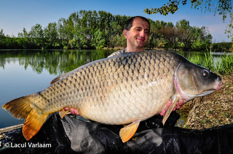 Victor Costache - 20kg, stand A7.jpg